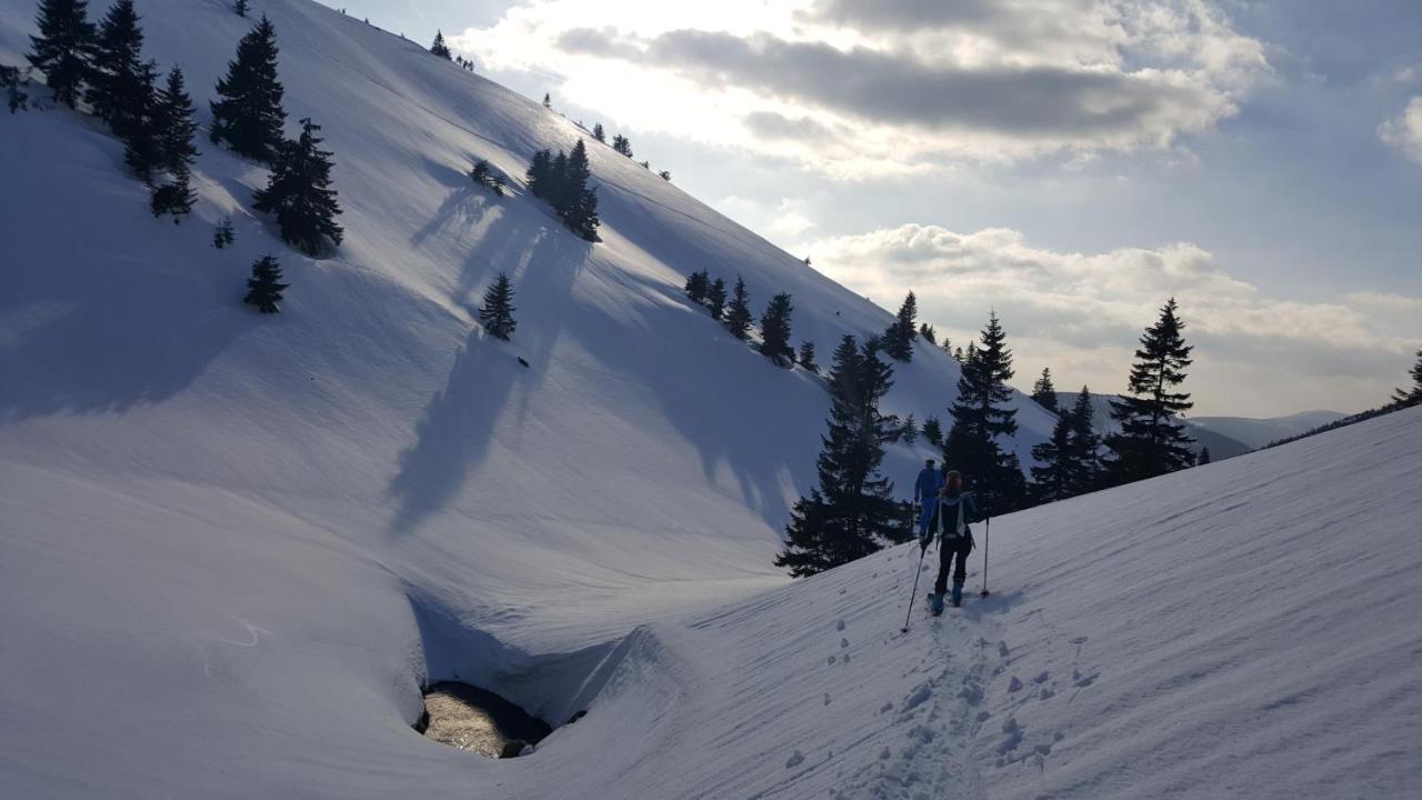 Medvědín 307 * Špindlerŭv Mlýn