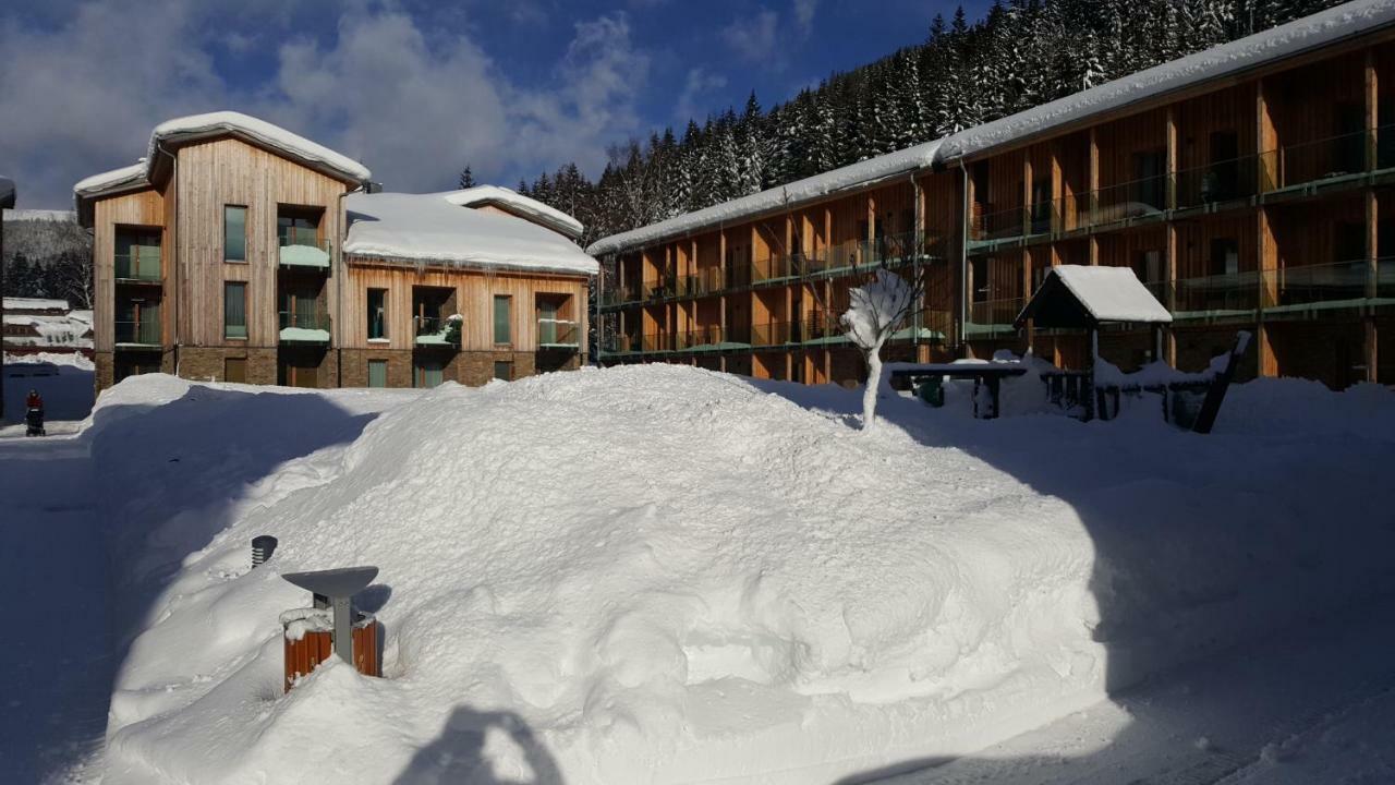 Apartmán Medvědín 307 *