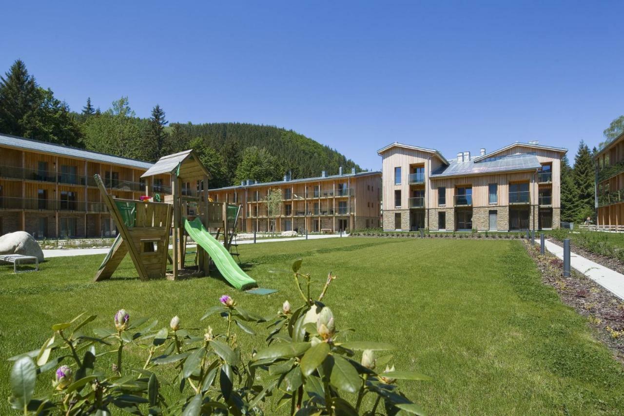 Apartment Medvedin 307