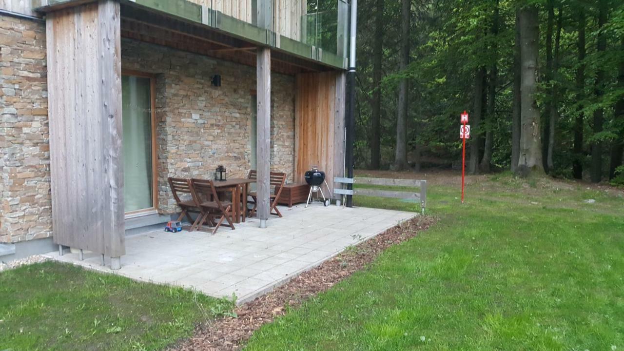Medvedin 307 Apartment *