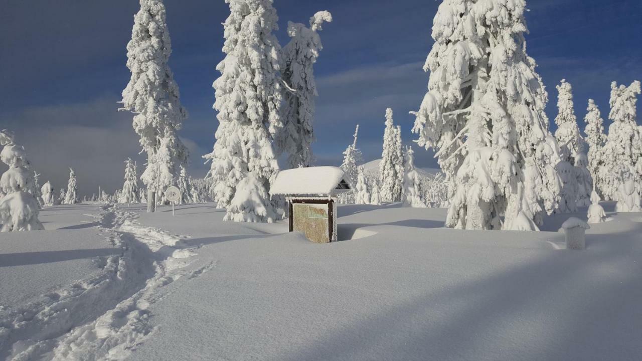 Medvedin 307 Apartment Spindleruv Mlyn